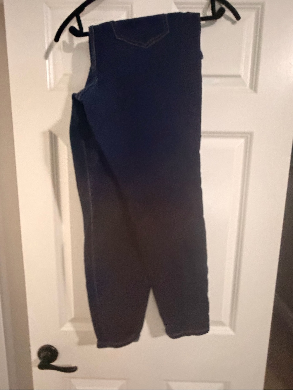 Lane Bryant Dark Navy Jeggings